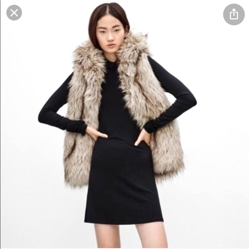 Faux fur vest Aritzia